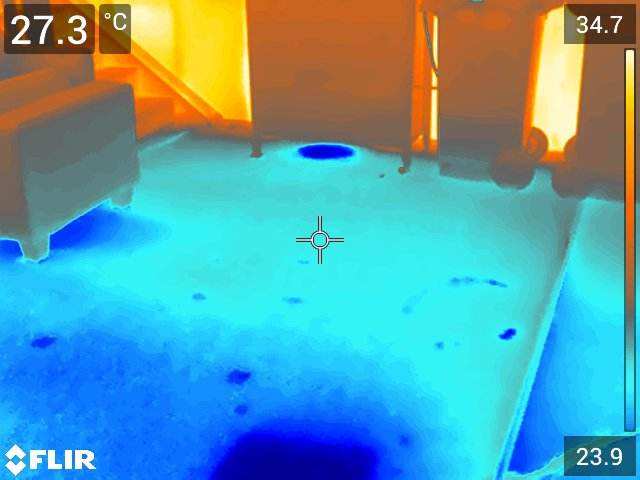 FLIR thermal image showing moisture anomaly