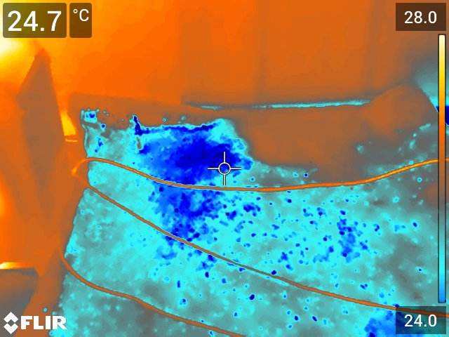 FLIR thermal image